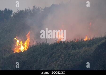 August 22, 2020, Santa Cruz/Davenport, California, USA: CZU Lightning Complex Fire: Hwy 1 North of Santa Cruz: ..Smoking embers re-ignited around sunset on August 21, after fire destroyed dozens of homes yesterday on the scenic stretch of Hwy 1, aka Cabrillo Highway, between the towns of Santa Cruz and Pescadero, a scenic 35 miles or 56 km drive along the Pacific Ocean that was clouded in smoke, evacuated and shut  down.Winding up from the coast, along the back side of Big Basin State Park, near the Last Chance Road, residents were on the front lines for three converging fires early this week Stock Photo