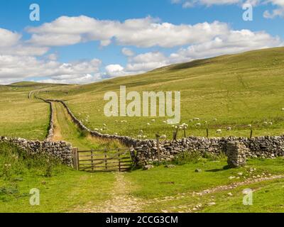 Mastiles Lane near Malham in the Yorkshire dales Stock Photo