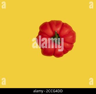 Close up of one red and ripe organic heirloom tomato on the right hand side seen isolated against a solid color. Stock Photo