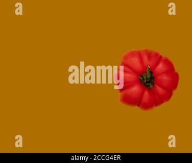 Close up of one red and ripe organic heirloom tomato on the right hand side seen isolated against a solid color. Stock Photo