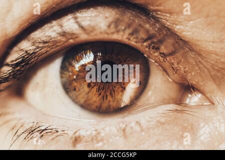 close-up detail of mature woman with brown green eye Stock Photo