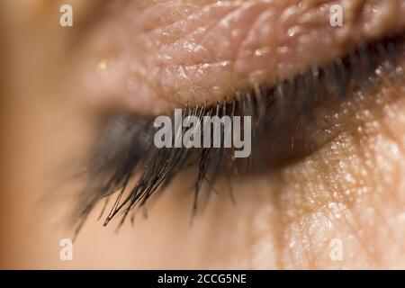 Macro shot of the human eyelid and eyelashes in. Daylight