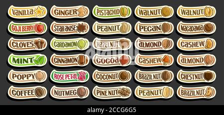 Vector set of Spices and Nuts, group of cut out cartoon raw spices and fresh nuts, various minimal design food signs for healthy nutrition, lot collec Stock Vector