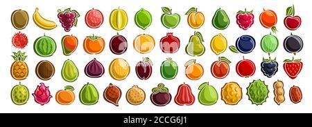 Vector set of fresh Fruits, group of cut out cartoon fruits and berries, various minimal design fruit tags for sweet drinks or ice cream, collection o Stock Vector