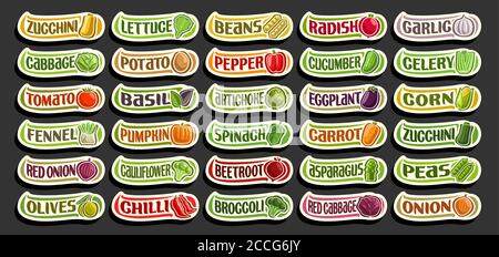 Vector set of fresh Vegetables, group of cut out cartoon vegs, various minimal design vegetable stickers for healthy nutrition, collection of isolated Stock Vector