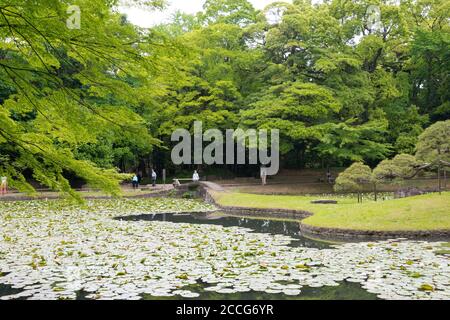 Tokyo, Japan - Koishikawa Korakuen Garden in Tokyo, Japan. Stock Photo