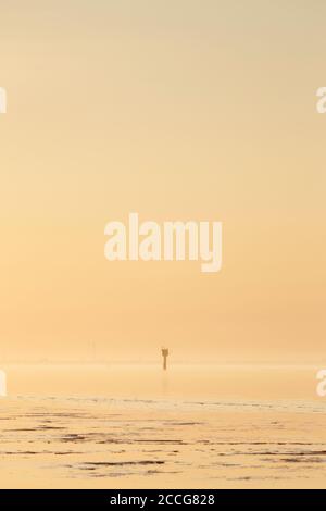 Europe, Germany, Lower Saxony, Otterndorf. Golden evening light shines on the mud flats in front of Otterndorf and the outer Elbe. In the background, Stock Photo