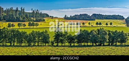 Row of trees over stream in hills of Nizky Jesenik range in Eastern Sudetes near town of Bruntal, Moravian-Silesian Region, Silesia, Czech Republic Stock Photo
