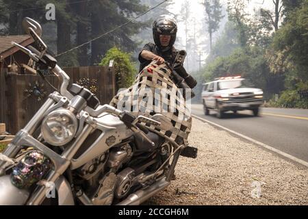 Boulder Creek, United States. 22nd Aug, 2020. During a mandatory evacuation, Michael Taylor loads up some of his belongings on his Harley Davidson in Boulder Creek, California as the CZU Lightning Complex fire continues to burn well into its fourth day with more than 50,000 acres torched, more than 100 structures destroyed and more than 75,000 people evacuated across two counties on Friday, August 21, 2020. Photo by Peter DaSilva/UPI. Credit: UPI/Alamy Live News Stock Photo