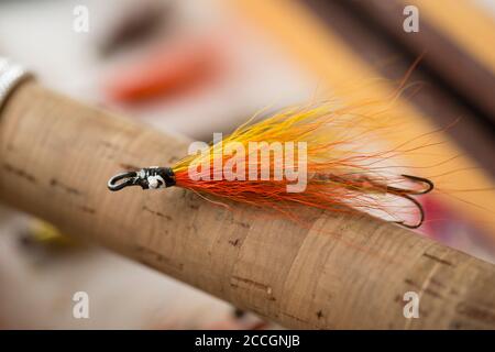 An old salmon fly equipped with a treble hook taken from a fly box, or  reservoir. Displayed on a piece of driftwood. From a collection of fishing  tac Stock Photo - Alamy