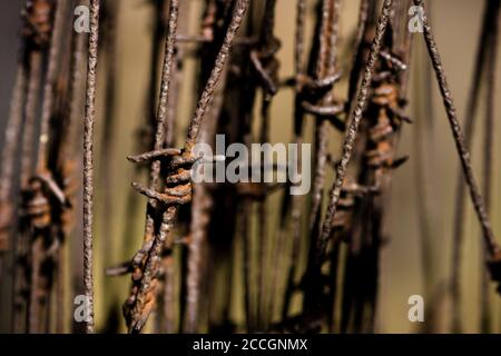 A close up of a rusty coiled roll of barbed wire Stock Photo