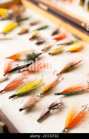 Flyfishing still life salmon flies hi-res stock photography and images