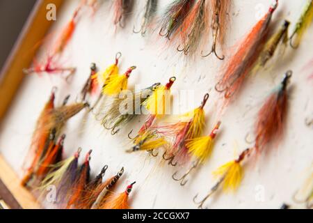 Flyfishing still life salmon flies hi-res stock photography and images -  Alamy