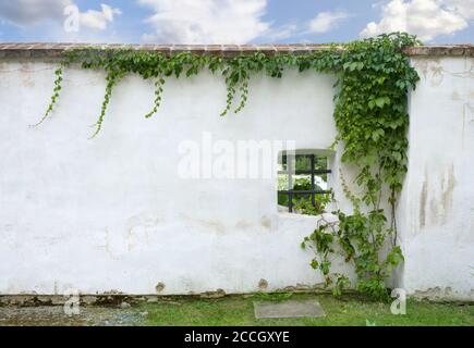 Window with bar in an old garden wall. Stock Photo