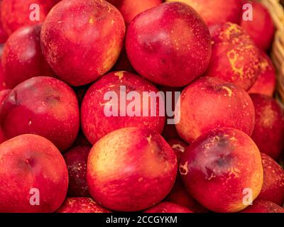 a beautiful fragrant ripe nectarine, the view from the top. Stock Photo