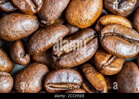 beautiful coffee beans medium roast macro-shooting Stock Photo