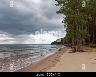 A remote sandy beach on the Tay estuary beside the Fife Coastal Footpath at Tentsmuir Forest and Nature Reserve on a wet day in August. Stock Photo