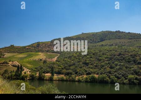 Beautiful Panoramic view of The Valley of the River Douro, Portugal - Port Wine Vineyards Region with Man-made Terraces on Green Hills Slopes Stock Photo