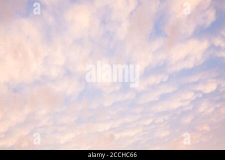 Beautiful red, pink. blue unusual feather clouds against the sky in sunrise, sunset, climate change, global warming. Stock Photo
