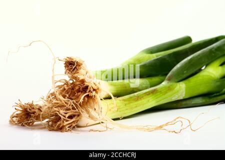 Bunch of spring green onions isolated on a white background Stock Photo