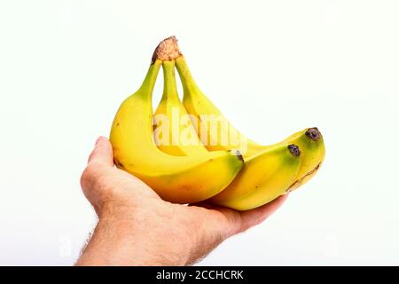 Mans hand holding a bunch of bananas isolated on a white background Stock Photo