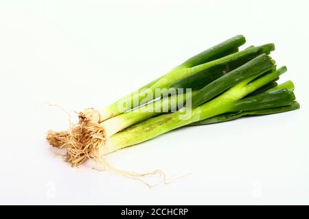 Bunch of spring green onions isolated on a white background Stock Photo