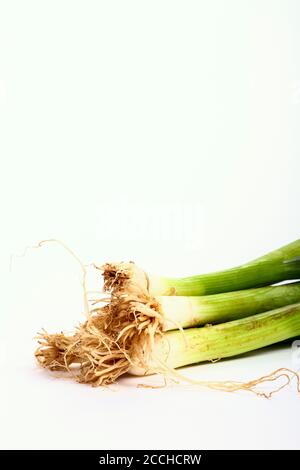Bunch of spring green onions isolated on a white background Stock Photo