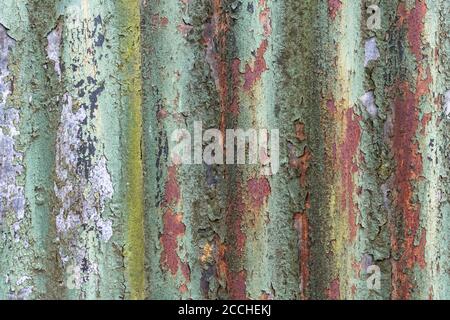 Faded orange and teal colours of flaking paint and rusting corrugated tin garden shed. Lovely old paintwork texture faded by light. Stock Photo