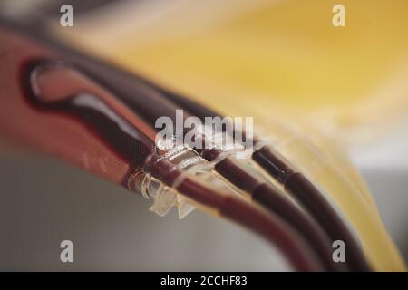 Close-up of dropper with blood samples which taken from donor at hospital Stock Photo