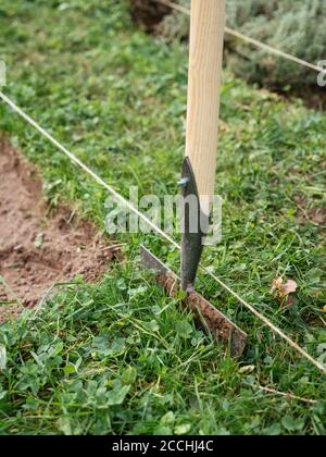 Edging a bed with a traditional hand made edging iron Stock Photo