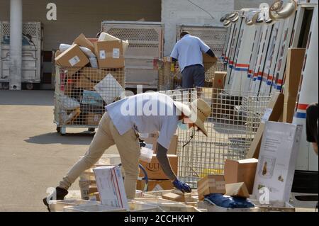 Hollywood, California, USA. 22nd Aug, 2020. Postal workers load up their trucks for Saturday's mail delivery at the Sunset Post Office in the Hollywood section of Los Angeles on Saturday, August 22, 2020. A coalition of activists declared a 'day of action' today aimed at saving the U.S. Postal Service, with nearly 700 rallies planned nationwide. Credit: UPI/Alamy Live News Stock Photo