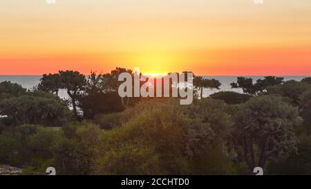Setting sun with sky coloured orange and pink on tropical island, calm sea at distance, jungle forest in foreground Stock Photo