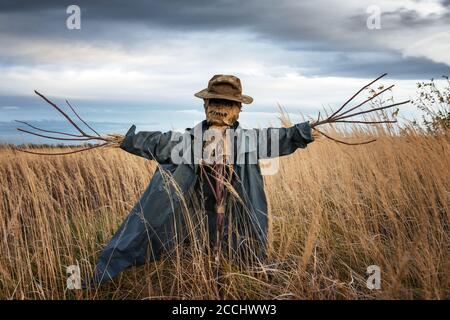 Terrible scarecrow in dark cloak stands alone in a autumn field. Halloween concept Stock Photo