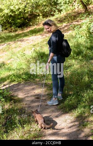 Woman leads Burmese cat on leash in park. Collared pet wandering outdoor adventure in summer. Burma kitten wearing harness with its owner are walking Stock Photo