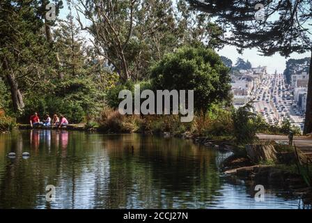 San Francisco, California, USA.  Family Feeding Fish at Stow Lake, Golden Gate Park.  19th Avenue Traffic on Right. Stock Photo