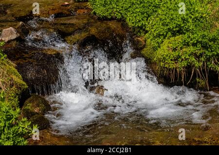 Cispus River headwaters in Cispus Basin within the Goat Rocks Wilderness, Gifford Pinchot National Forest, Washington State, USA Stock Photo