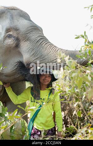 Portrait of elephant and mahout near Luang Prabang in Laos Stock Photo