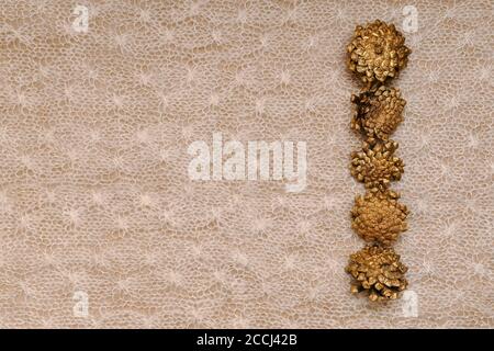 Delicate background, five similar pine cones on the right vertical next on the left on the knitted canvas. Stock Photo
