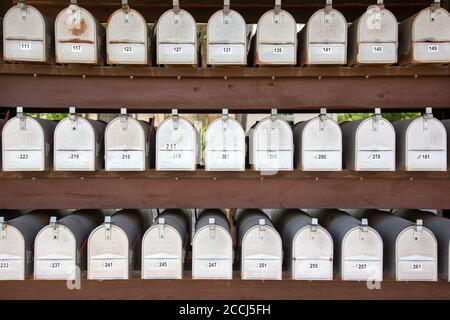 Danville, United States. 21st Aug, 2020. Rows of mailboxes near the Blue Springs Terrace Mobile Home Park outside of Danville, Pennsylvania. (Photo by Paul Weaver/Pacific Press) Credit: Pacific Press Media Production Corp./Alamy Live News Stock Photo