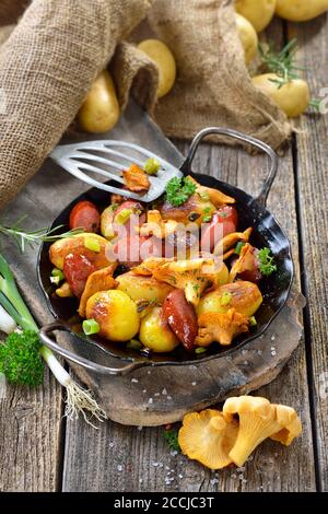 Fried potatoes with fresh chanterelles and sliced cabanossi sausages served in an iron pan with rustic ambience Stock Photo