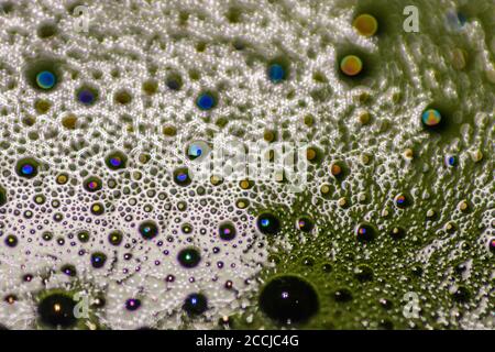 Macro closeup of a Japanese Matcha green tea served during traditional Japanese tea ceremony Stock Photo