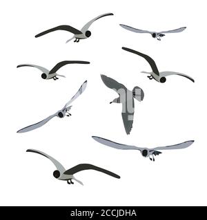 Set of flying seagulls isolated on white. Tern birds in different poses. Grey colour. Vector EPS10. Stock Vector