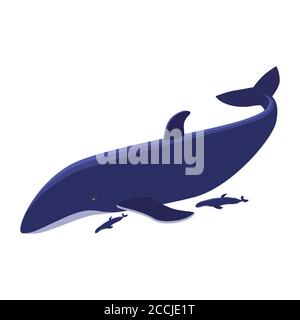 Big blue whale with two whale cubs isolated on white. The largest marine mammal. Curled tail and large fins. Vector EPS10. Stock Vector