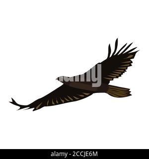 Flying eagle isolated on white. Brown big bird with spreading wings. Vector EPS10. Stock Vector