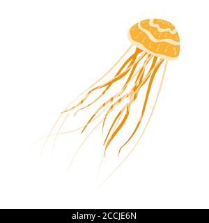 Jellyfish with long tentacles isolated on white. Yellow jellyfish with a beautiful pattern and flexible tentacles. Vector EPS10. Stock Vector