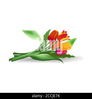 Lying bouquet of five realistic vector tulips with shadow isolated on white background. Red, yellow and purple flower buds. Green long leaves. Stock Vector