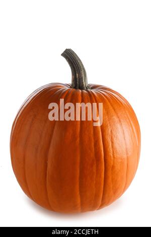 One Pumpkin isolated on white Stock Photo - Alamy