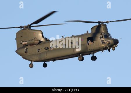 RAF Chinook heavy lift helicopter on approach to Wattisham airfield. Stock Photo