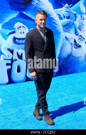 LOS ANGELES - SEP 22:  Channing Tatum at the Small Foot Premiere at the Village Theater on September 22, 2018 in Westwood, CA Stock Photo