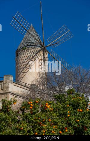 Historic windmill of Es Jonquet in old town of Palma de Mallorca,Palma de Mallorca, Mallorca, Balearic Islands, Spain, Europe Stock Photo